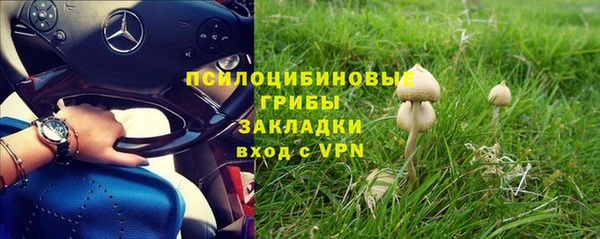 крисы Алзамай