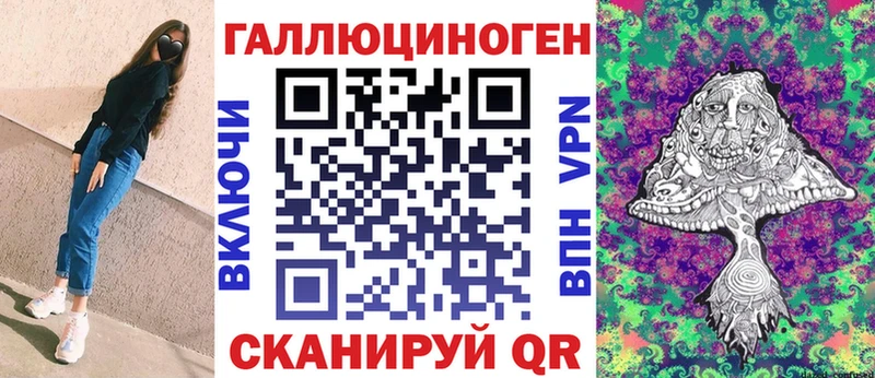 закладка  Углегорск  Псилоцибиновые грибы Psilocybe 